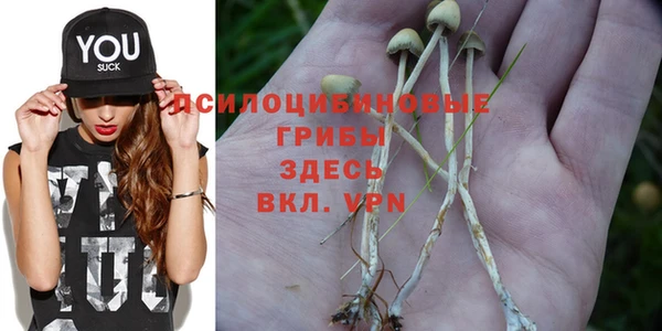 apvp Алексеевка