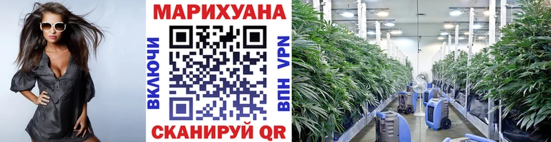 хочу   Плавск  Бошки марихуана Ganja 